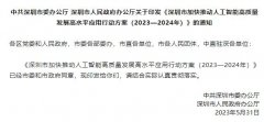 实施术办事平台搀扶打算